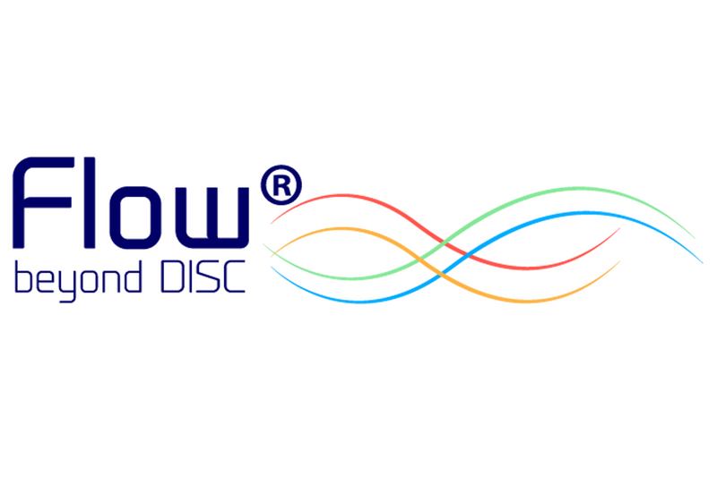 DISC Flow Core Profile